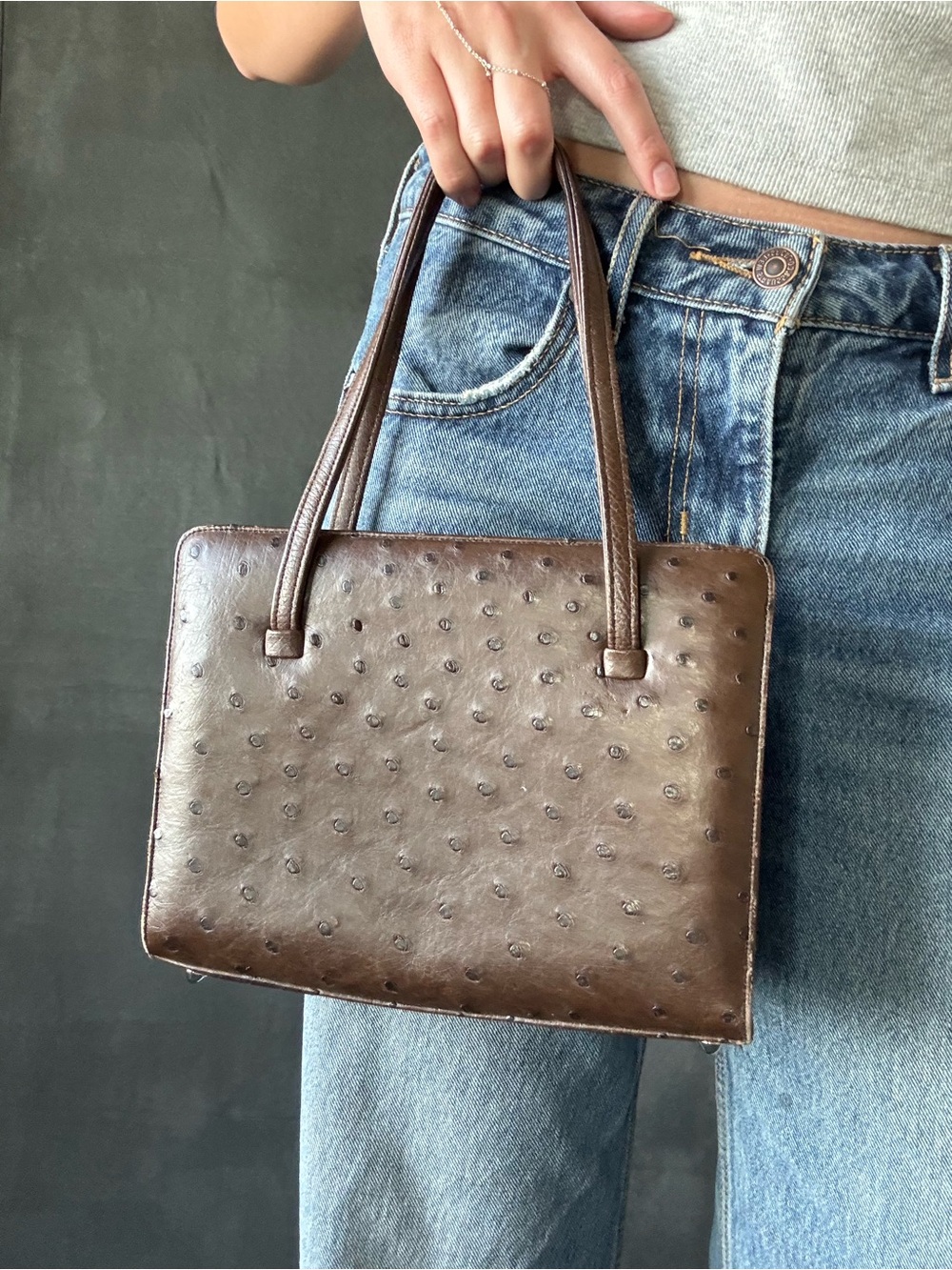 Brown Ostrich Leather Tote Bag